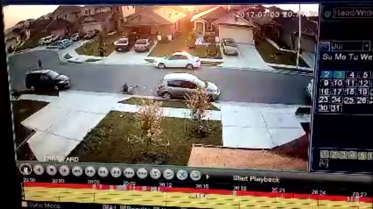 Pit Bull Attacks Boy